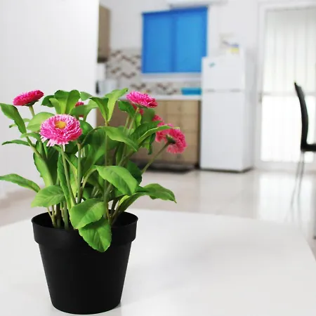Duplex Comfort Appartamento